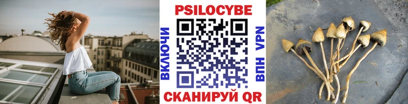 Псилоцибиновые грибы Psilocybine cubensis Шадринск