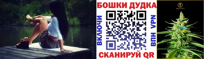блэк спрут как зайти  Шадринск  Шишки марихуана Bruce Banner 